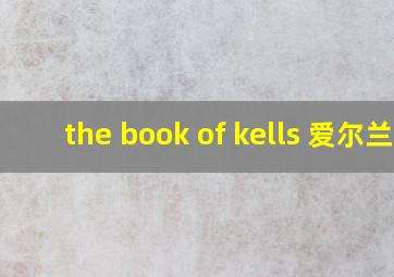 the book of kells 爱尔兰